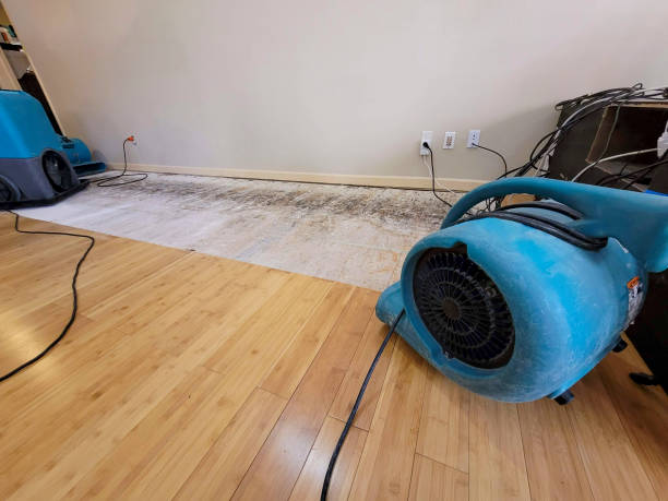 Professional Water Damage Repair technician working in Pascagoula, MS